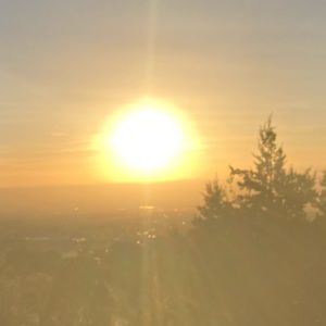 Meet your Posher, Becca